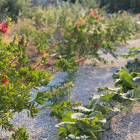 Σπίτι διακοπών Tole Podaca