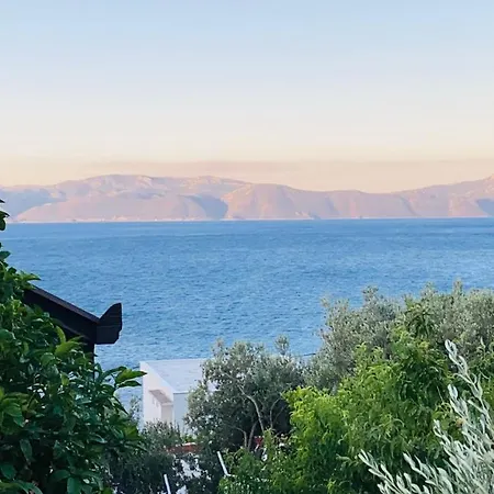 Tatil Evi Tole *