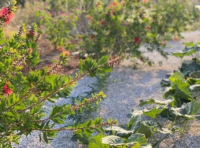 بيت للعطل Tole بوداكا