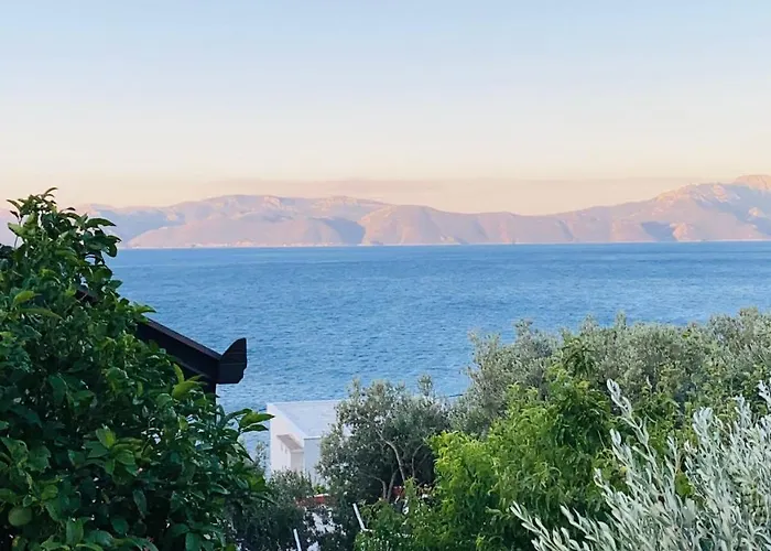 بيت للعطل Tole *